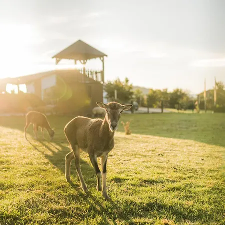 Holiday home Hof Koehne - Haus Am Berg 4er *