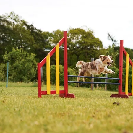 Semesterbostad Hof Koehne - Haus Am Berg 4er Schmallenberg
