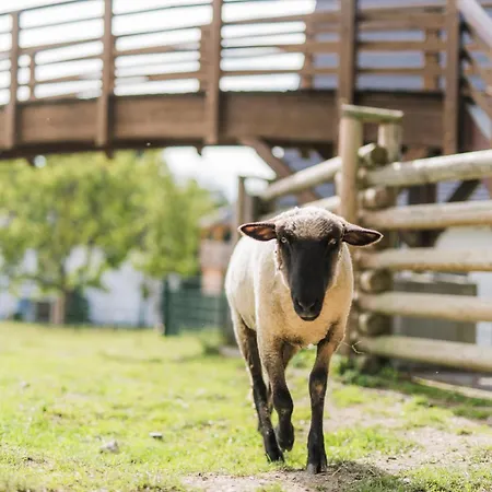 Semesterbostad Hof Koehne - Haus Am Berg 4er *