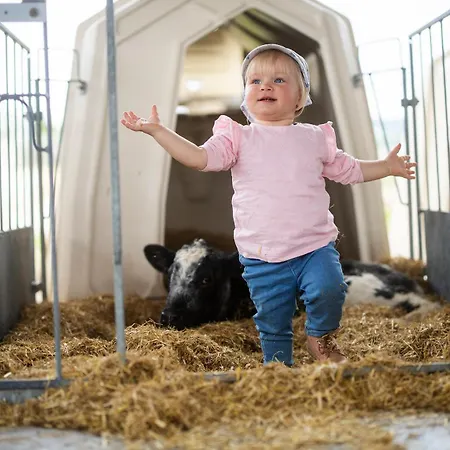 Semesterbostad Hof Koehne - Haus Am Berg 4er Schmallenberg