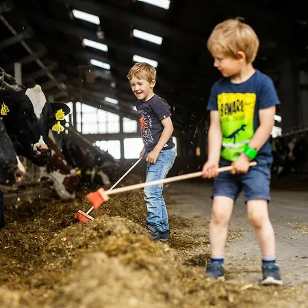 Hof Koehne - Haus Am Berg 4er Schmallenberg