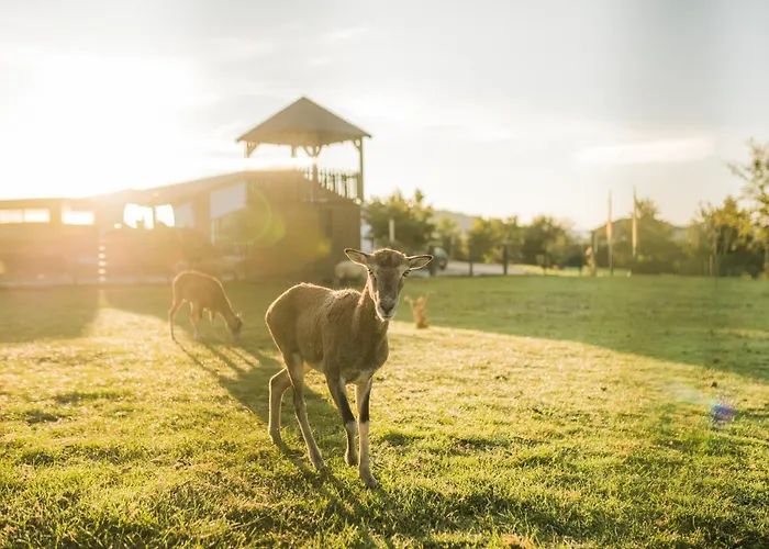Holiday home Hof Koehne - Haus Am Berg 4er *