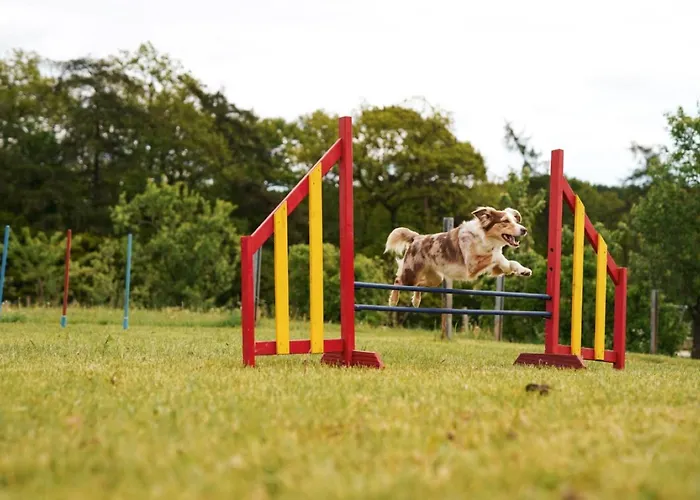 Holiday home Hof Koehne - Haus Am Berg 4er Schmallenberg