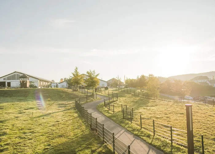 Hof Koehne - Haus Am Berg 4er Holiday home *