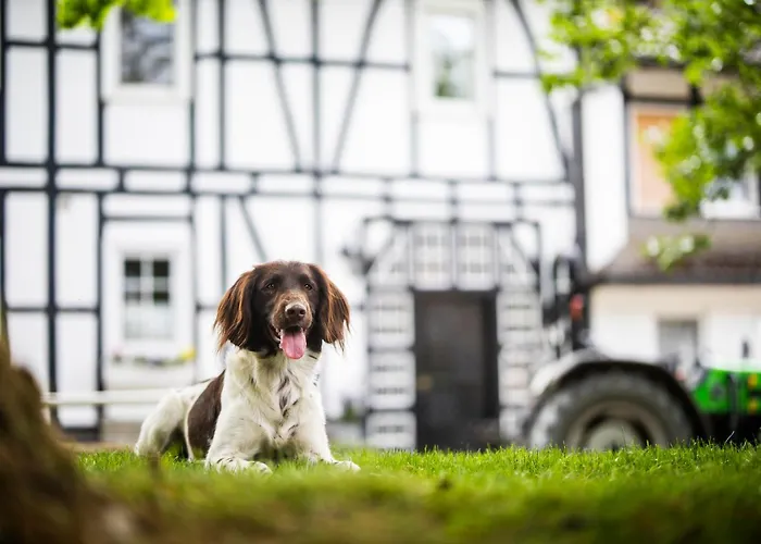 Hof Koehne - Haus Am Berg 4er Schmallenberg