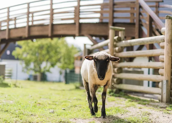 Holiday home Hof Koehne - Haus Am Berg 4er *