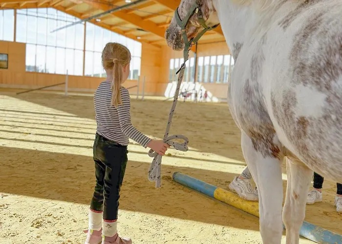 Hof Koehne - Haus Am Berg 4er Schmallenberg